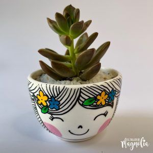 Suculenta MD "Francesca"