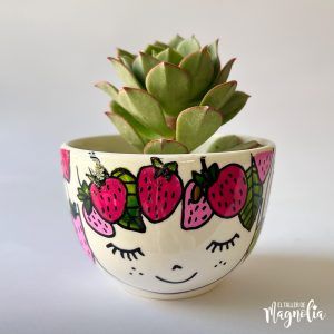Suculenta MD "Frutullita"