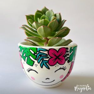 Suculentas Regalo