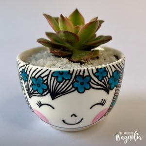 Suculenta MD "Ginevra"