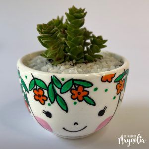 Suculenta MD "Giulia"