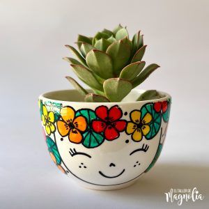 Suculenta MD "Greta"