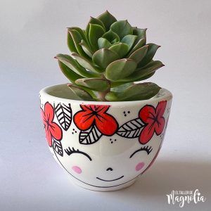 Suculenta MD "Isabella"