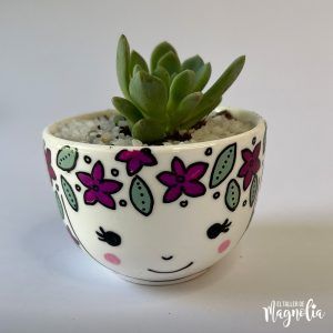 Suculenta MD "Laraina"