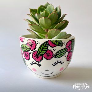 Suculenta MD "Leontina"