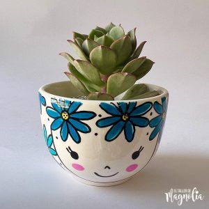 Suculenta MD "Lucrezia"