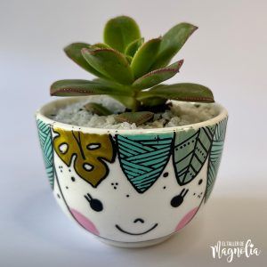 Suculenta MD "Marcella"