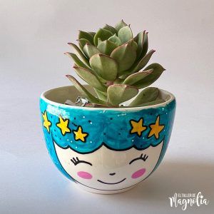 Suculenta MD "Mirabella"