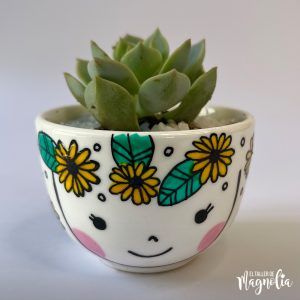 Suculenta MD "Mirasol"