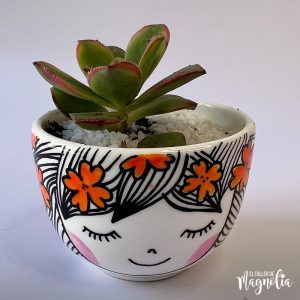 Suculenta MD "Nicoletta"