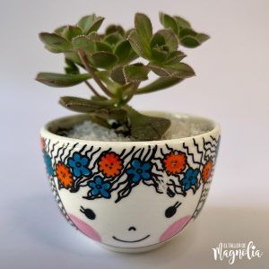 Suculenta MD "Orlena"