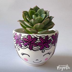 Suculenta MD "Roberta"