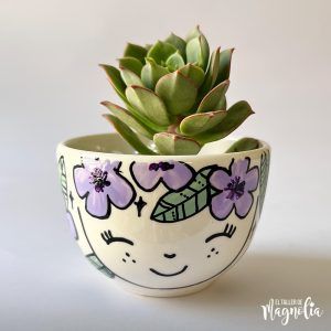 Suculenta MD "Romola"