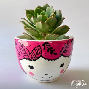Suculenta MD "Rosalinda"