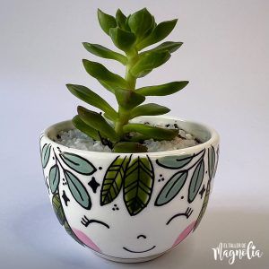 Suculenta MD "Rosella"