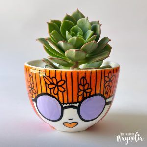 Suculenta MD "Serafina"