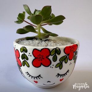 Suculenta MD "Sofia"