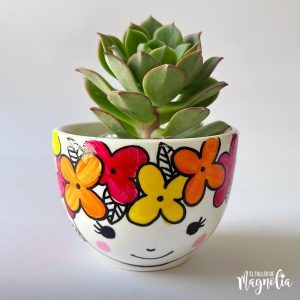 Suculenta MD "Stefania"