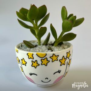 Suculenta MD "Stella"