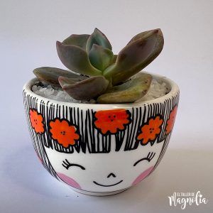 Suculenta MD "Sylvana"