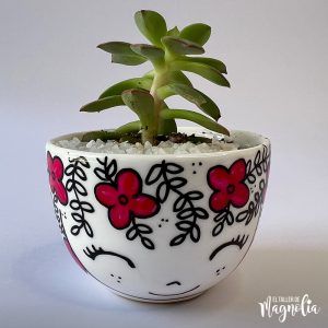 Suculenta MD "Virgilia"