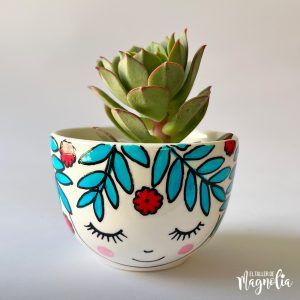 Suculenta MD "Vittoria"