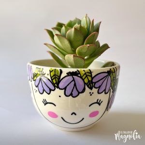 Suculenta MD "Viviana"