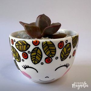 Suculenta MD "Zia"