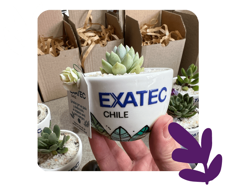 Regalos Corporativos Creativos
