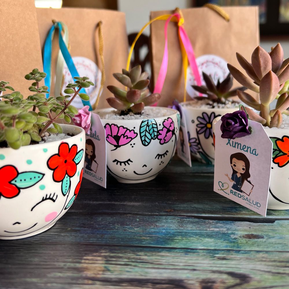 Suculentas para Regalo