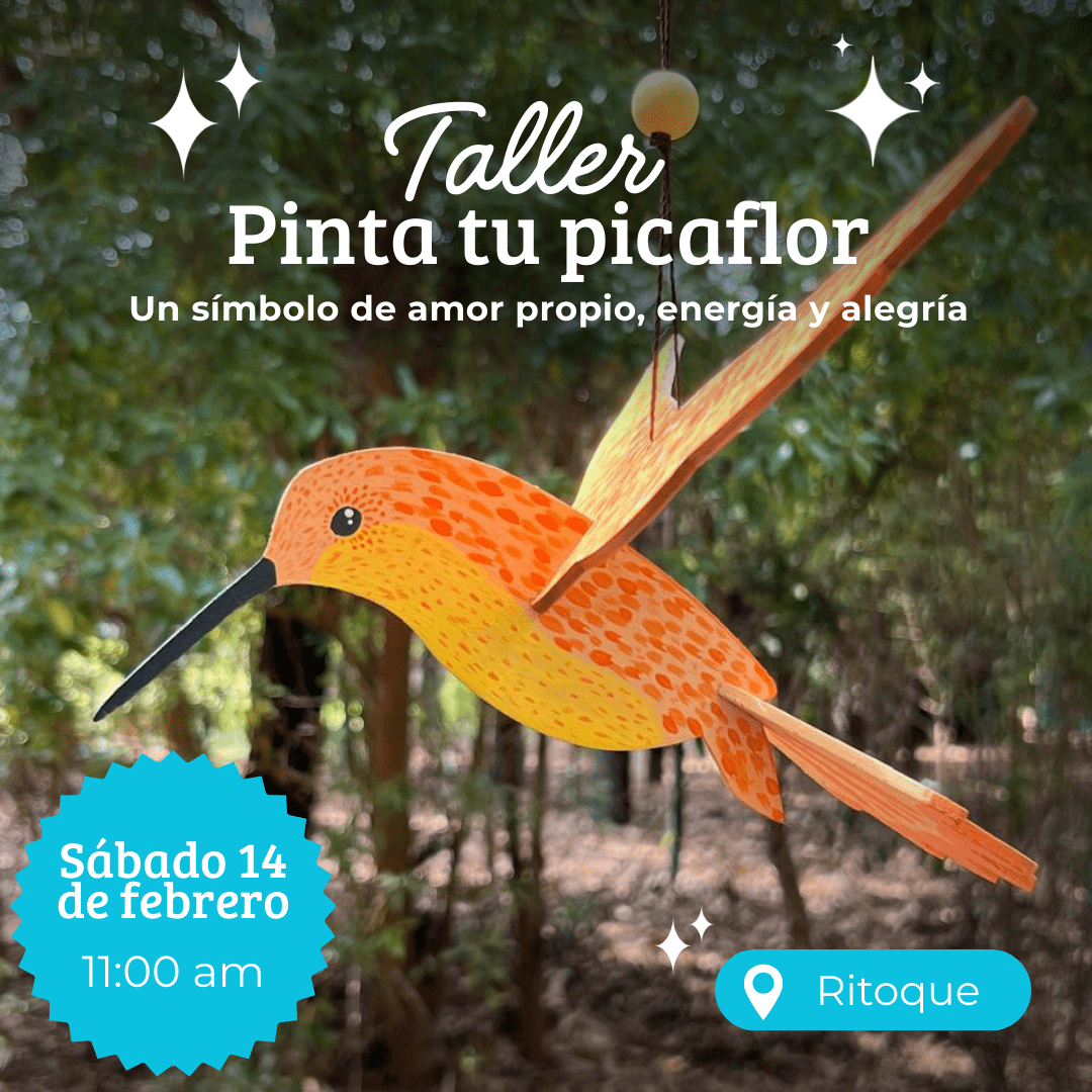 Pinta tu picaflor